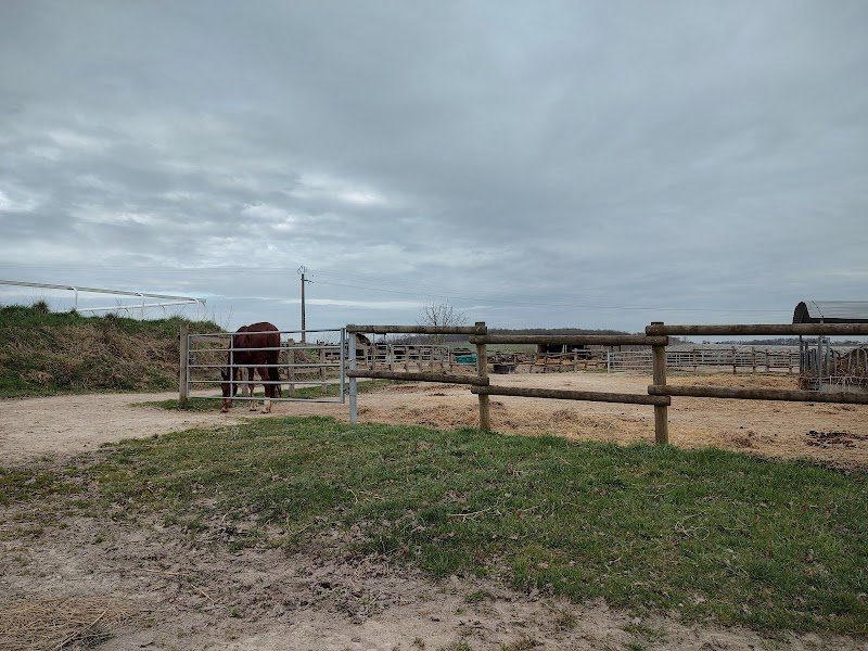 Les Écuries du Val de Seugne - photo 2