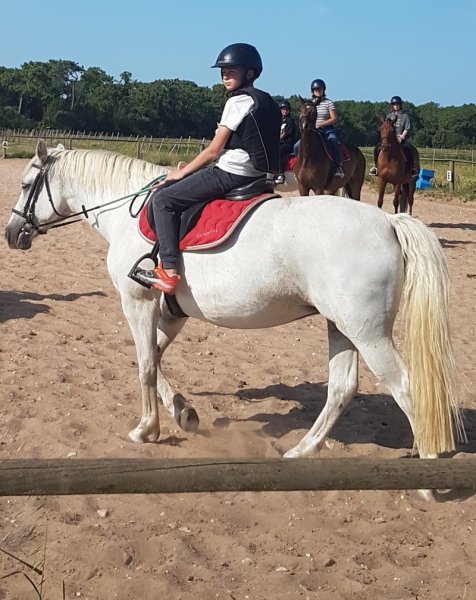 Haras des Evières - photo 2