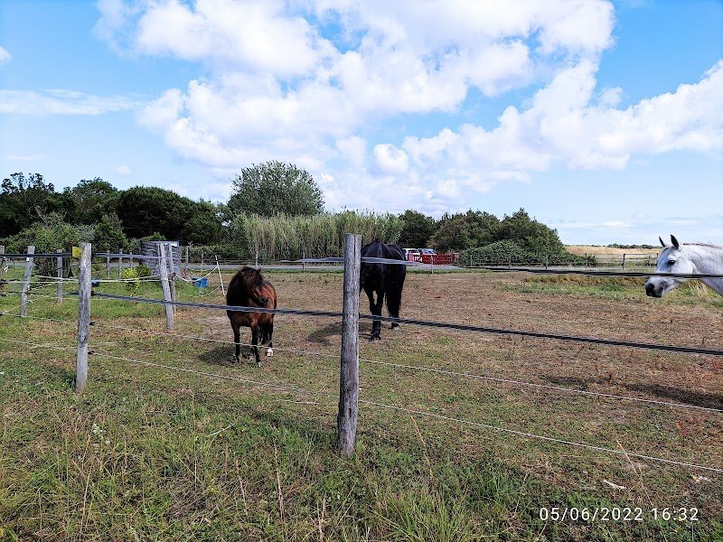 Les Petites Écuries du Marais - photo 1