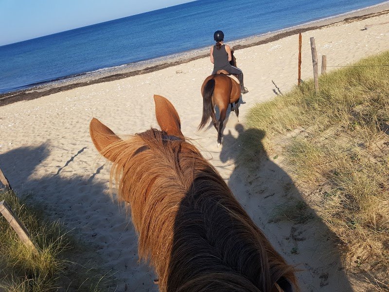 Les Petites Écuries du Marais - photo 2