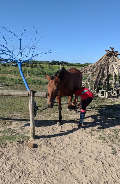 Les Petites Écuries du Marais - photo 3