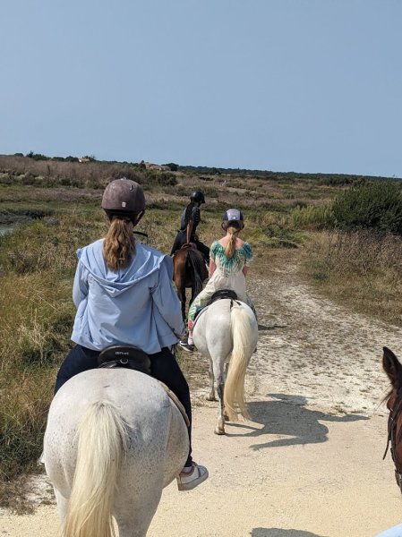 Les Écuries de Loix - photo 2