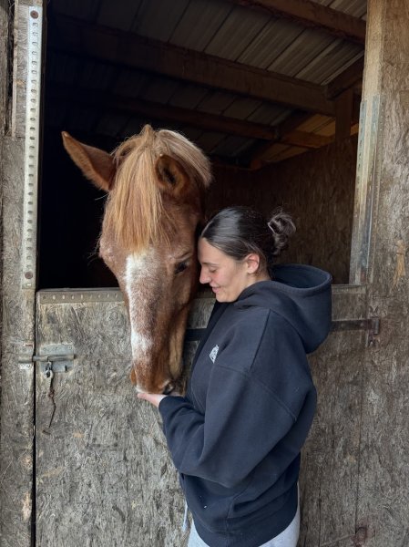 Les Écuries de Loix - photo 3