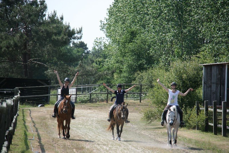 Haras de la fauconnerie - photo 2