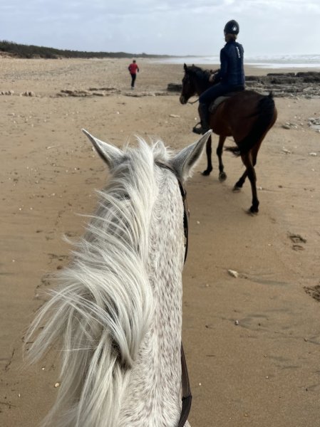 Horse Story Oléron - photo 1