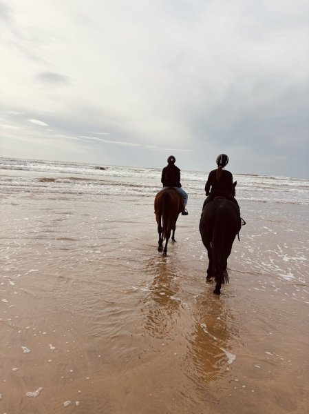 Horse Story Oléron - photo 2