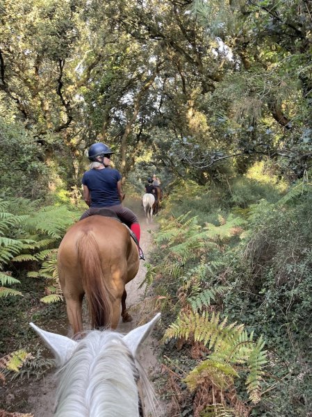 Horse Story Oléron - photo 3