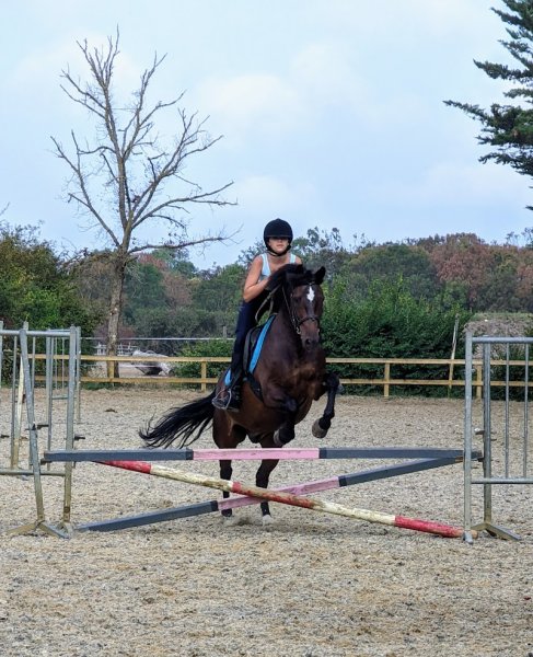 Centre Equestre Le Paddock - photo 1