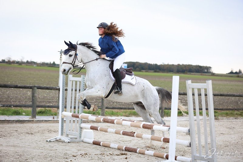 Centre Equestre De Bellevue - photo 2