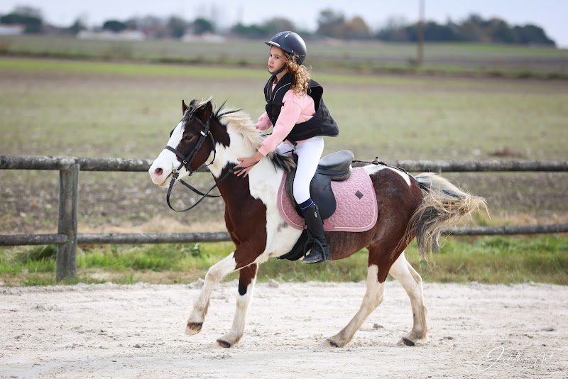 Centre Equestre De Bellevue - photo 3