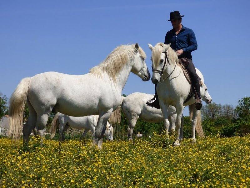 La Manade Promenade à cheval - photo 1