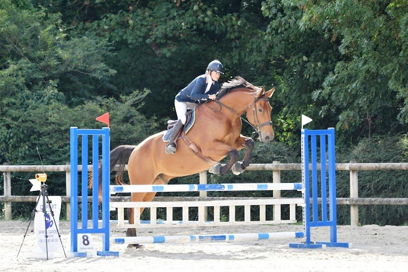 Ecurie des Feuillants - photo 3