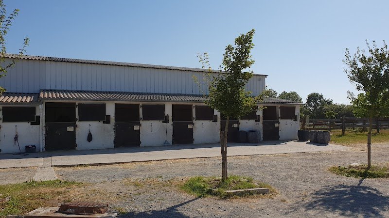 CENTRE EQUESTRE DE VILLEDOUX - photo 3