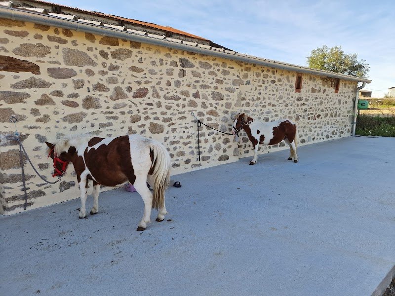 les écuries de la barbère - photo 1