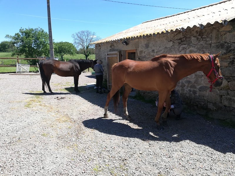 les écuries de la barbère - photo 2