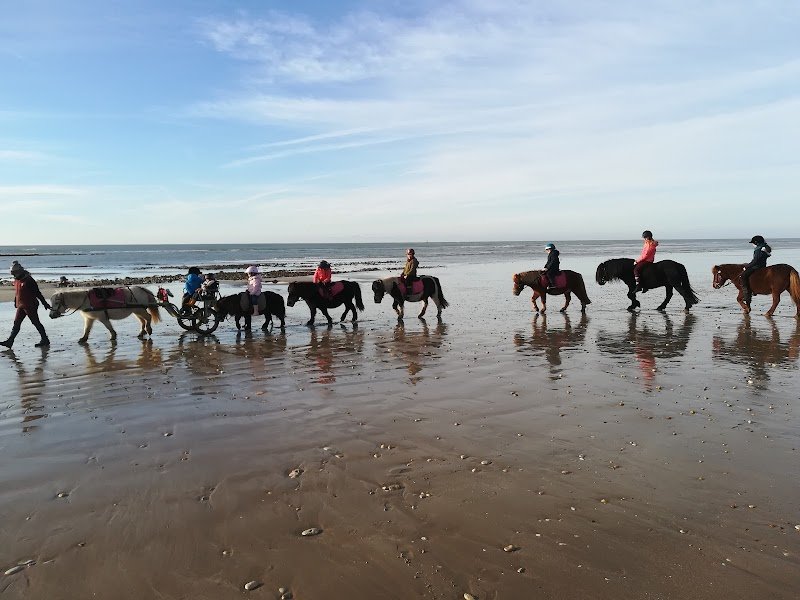 Poney Club Les Petites Folies - photo 1