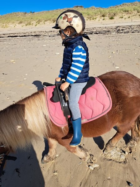 Poney Club Les Petites Folies - photo 3
