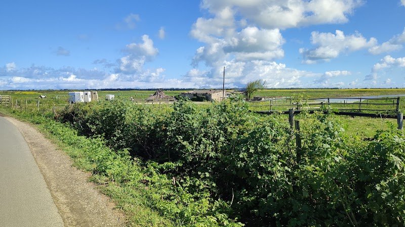 Les Petites Écuries de Vasco - photo 1