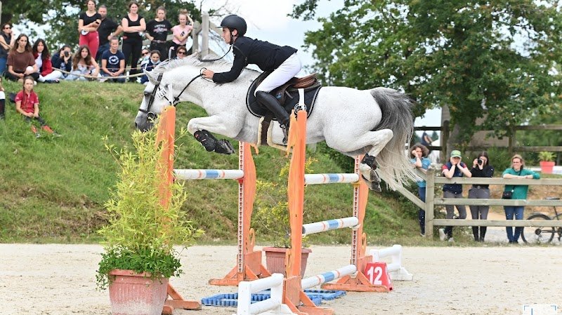 Haras de Vendie