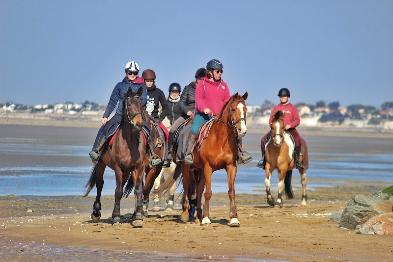 Poney Club de Marcou
