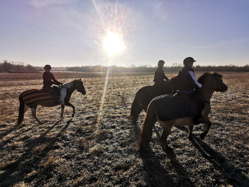 Poney Club de Marcou - photo 2