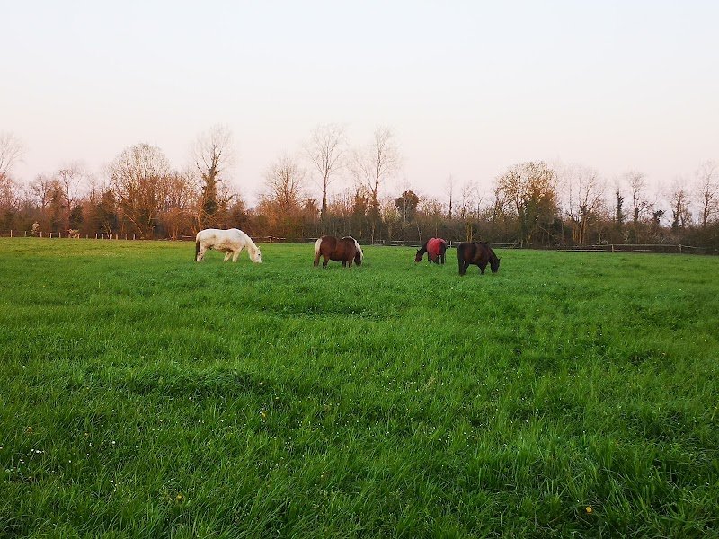 Poney Club de Marcou - photo 3