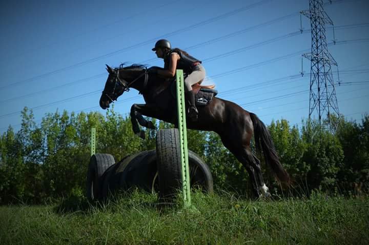 EquiPIA | Randonnée Equestre Saint Ciers d’Abzac - photo 2
