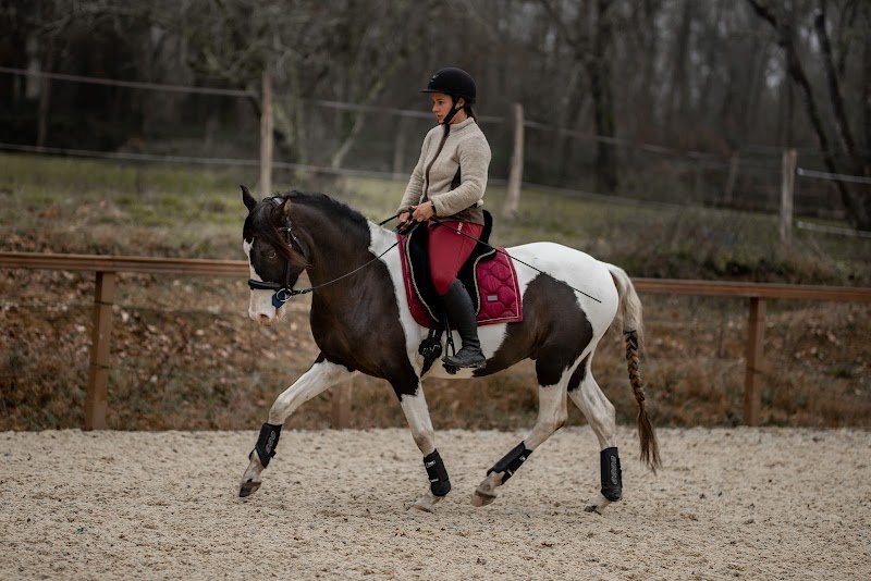 Cheval Serein - photo 2