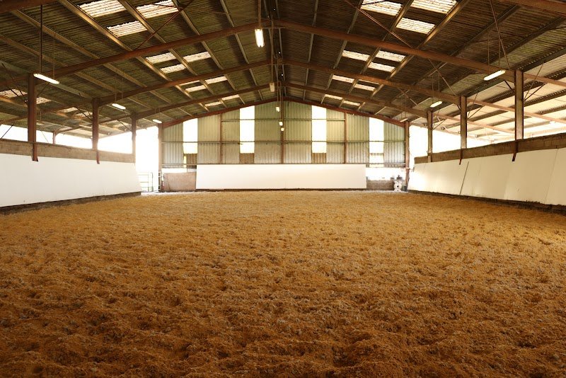 Aux Prés d'Edenton - Pension Chevaux proche Bordeaux à Baurech - photo 1
