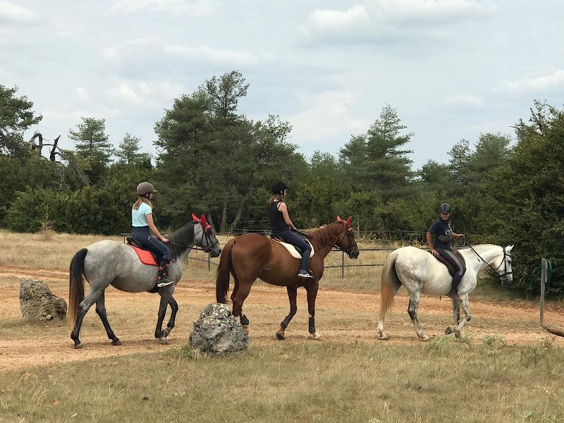 Centre Equestre le Sonnac - photo 2