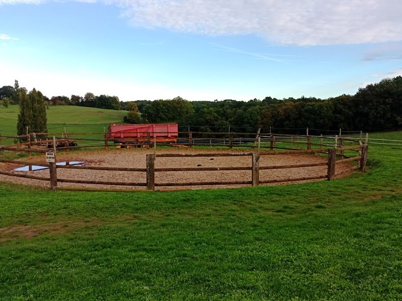 Ferme équestre de Sardin - photo 1