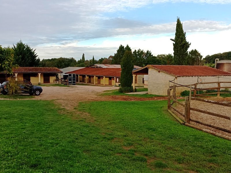 Ferme équestre de Sardin - photo 2