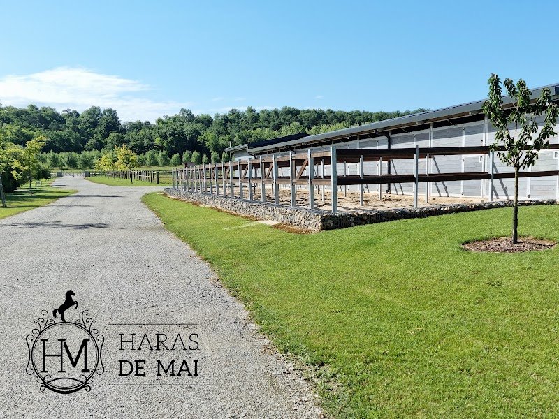 Haras de Mai - Ecurie de propriétaires & Ecole d'Equitation - photo 1