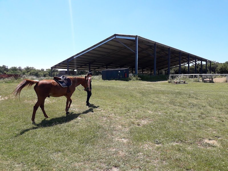 HARAS DE L'OLIVIER
