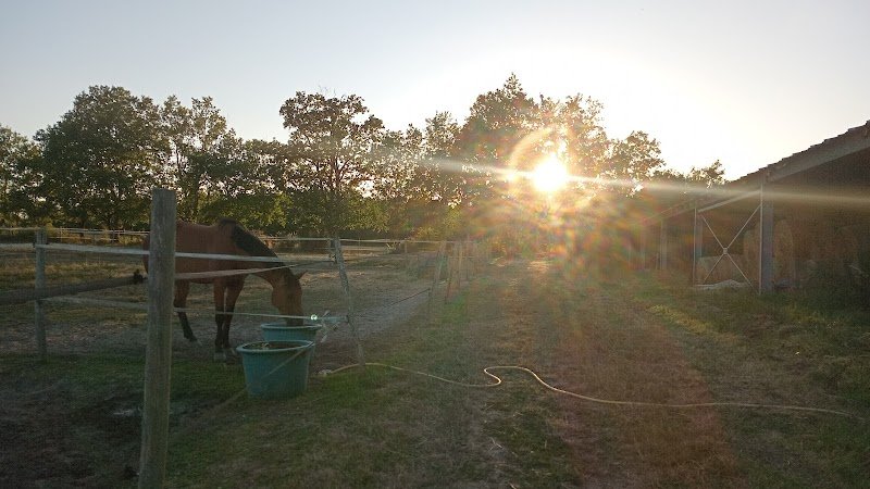 HARAS DE L'OLIVIER - photo 3