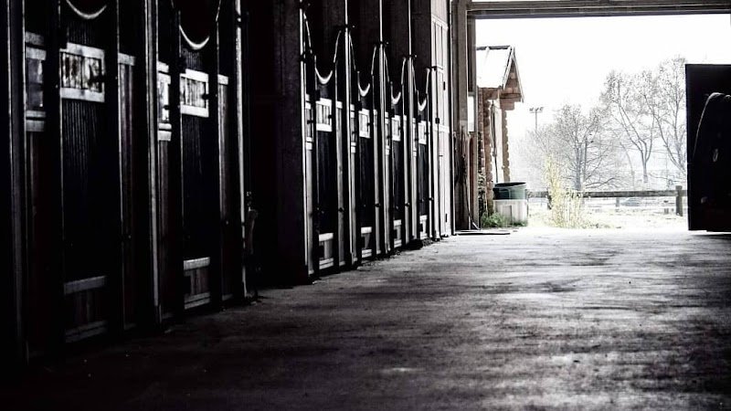 Espace Equestre de Mazerolles - photo 1