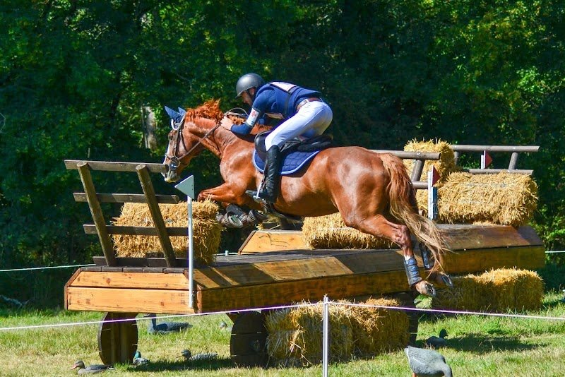 FERME EQUESTRE DU DERRE - photo 2