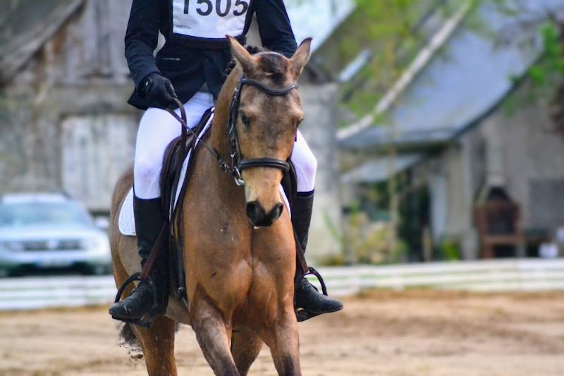 FERME EQUESTRE DU DERRE - photo 3