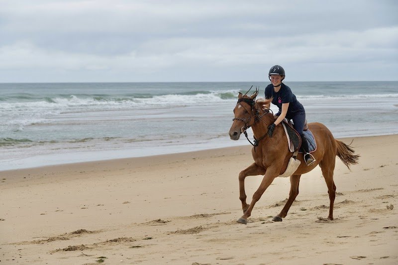 EARL PONEY DECOUVERTE - photo 1
