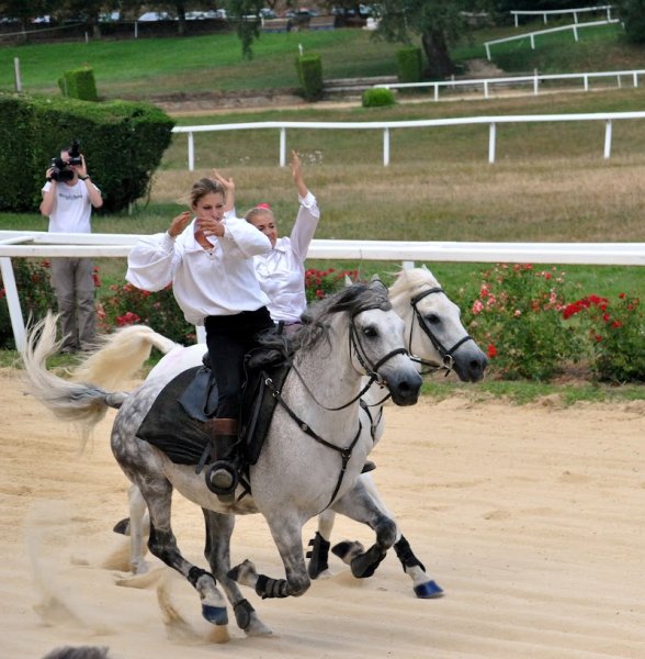 Les Ecuries des Colombes - photo 3