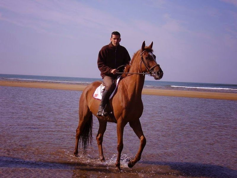 Écurie des Grands Cailloux - photo 1