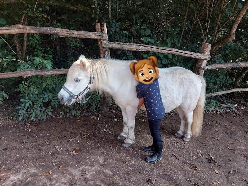 Poney Club du Mas - photo 3