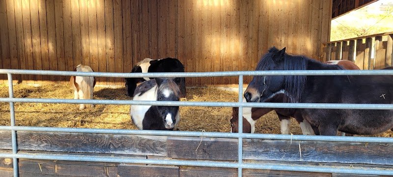 Les Ecuries de Novert - photo 1
