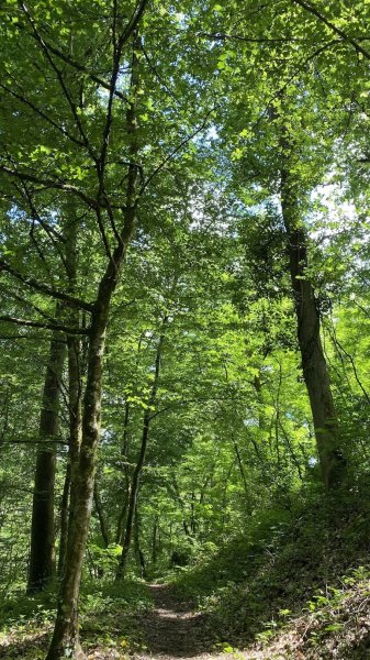 Les Ecuries de Novert - photo 2