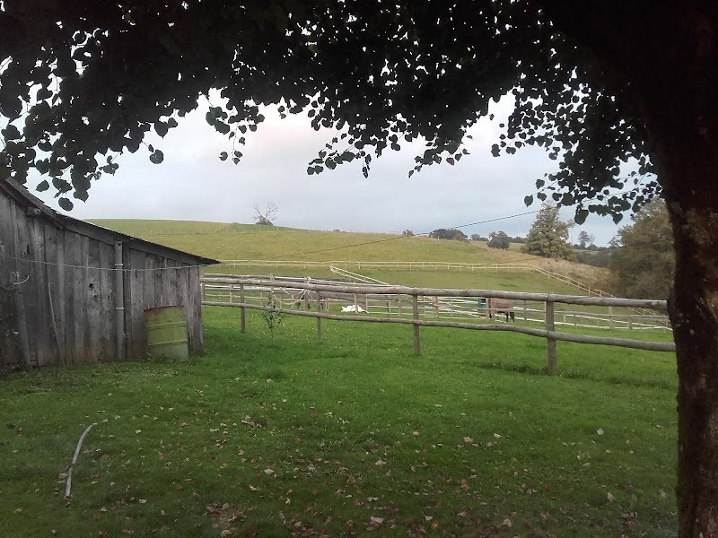 Ecuries des Arlbourg - photo 3