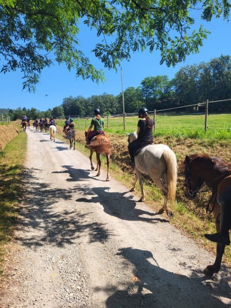 Centre Equestre La Valade