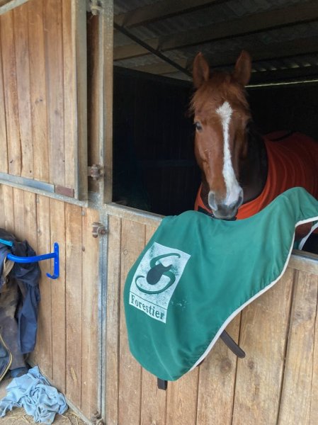 Centre Equestre La Valade - photo 2