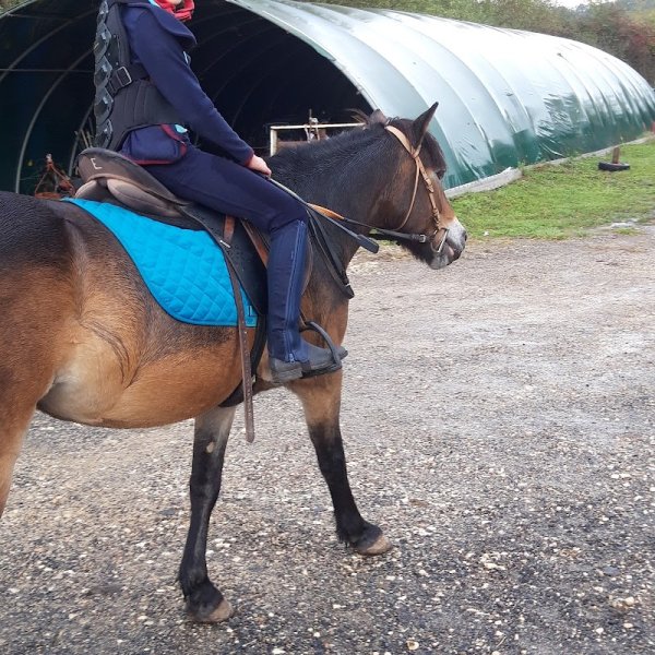 Centre Equestre La Valade - photo 3