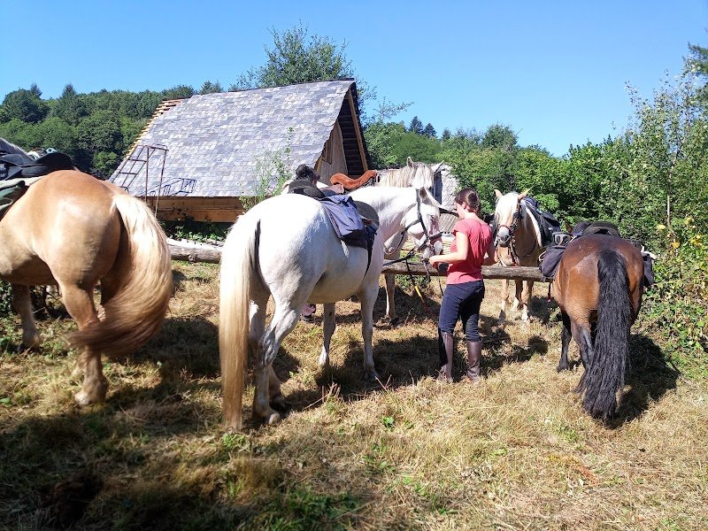 Les Chevaux de Chamousseau - photo 1