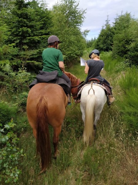 Les Chevaux de Chamousseau - photo 3